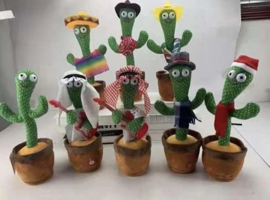 Cactus bailarín con gravador