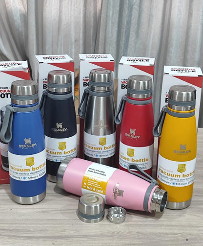Botellas stanley 650ml