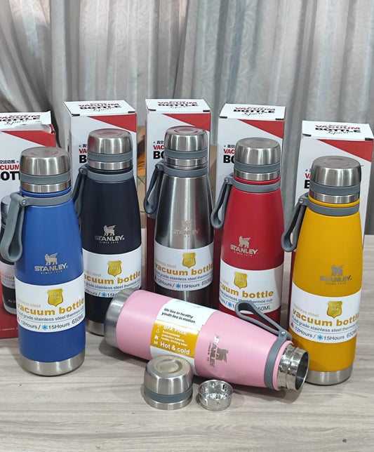 Botellas stanley 650ml